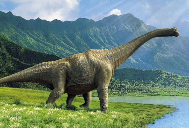 En Torres del Paine hallan el dinosaurio mas grande descubierto en Chile